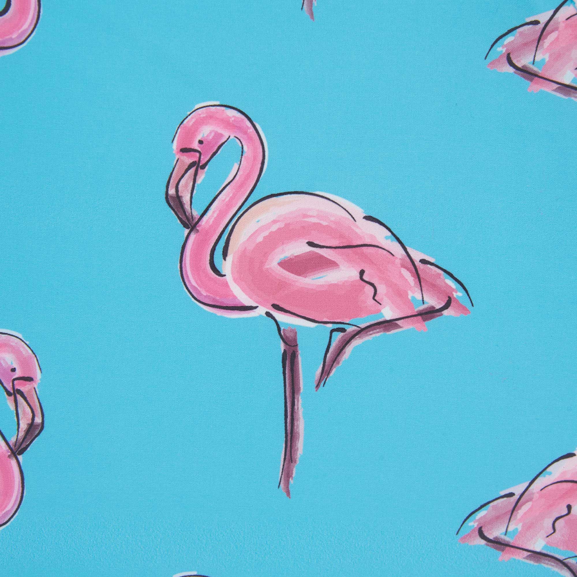 Flamingos - Men's Swim Shorts