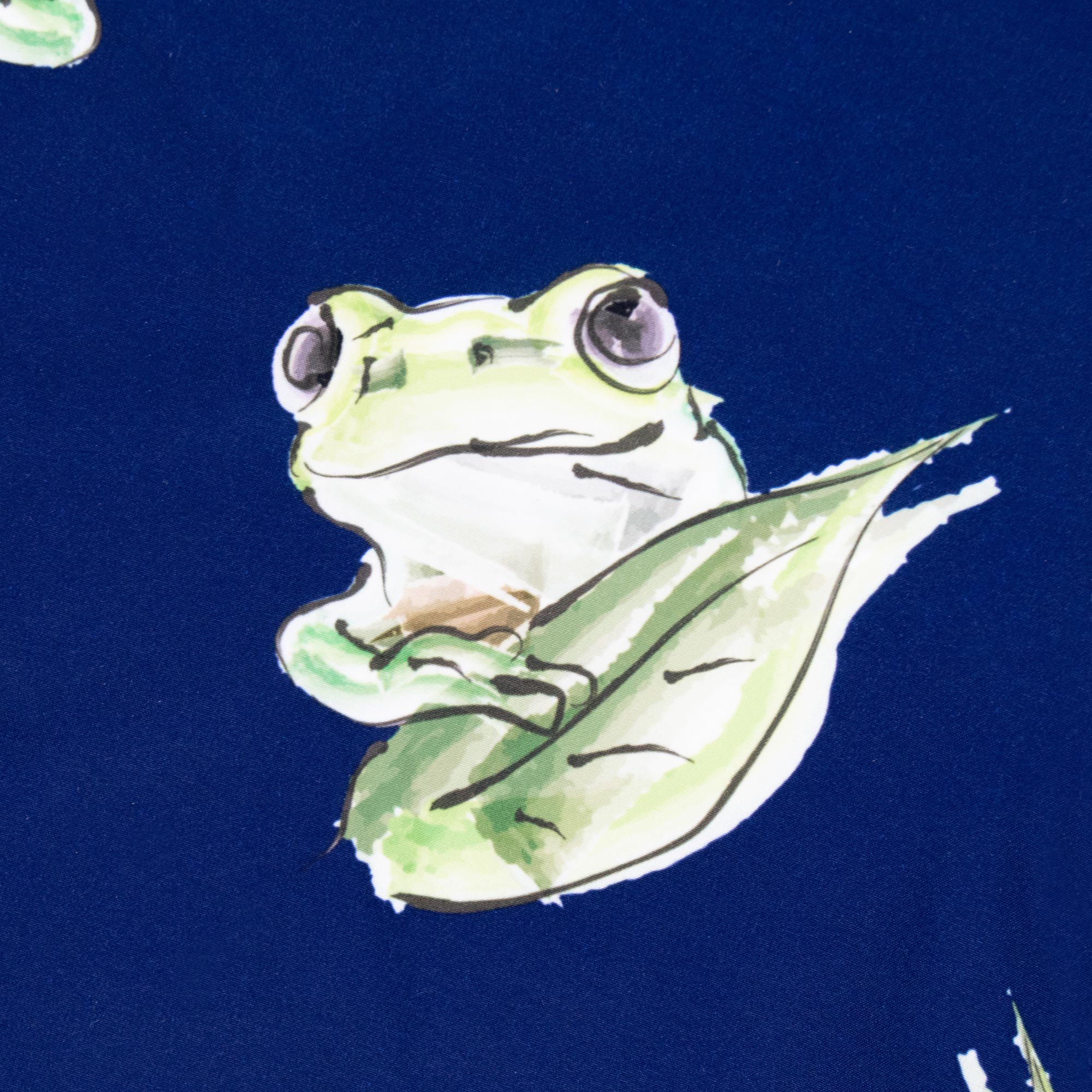 Frogs - Men's Swim Shorts