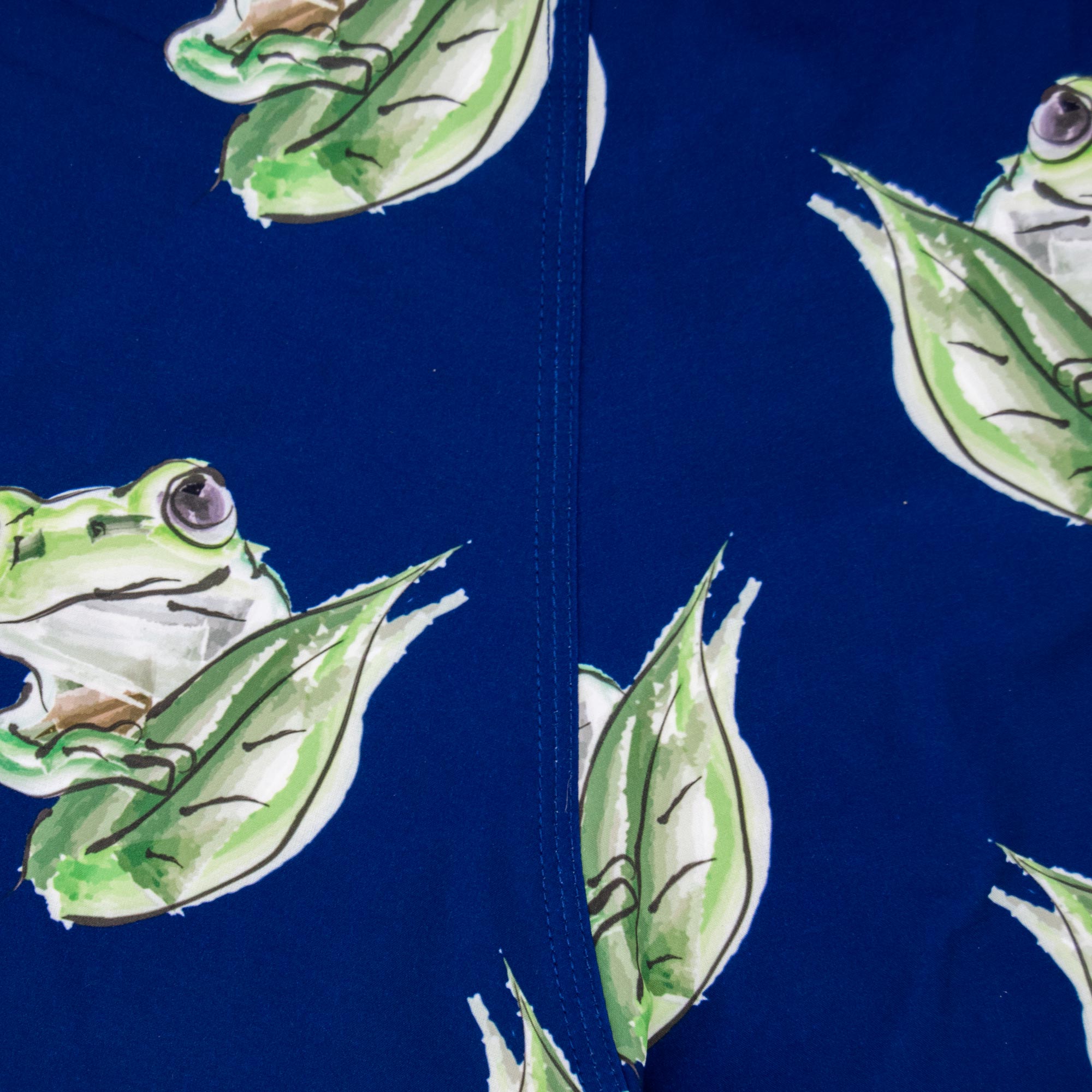 Frogs - Kid's Swim Shorts