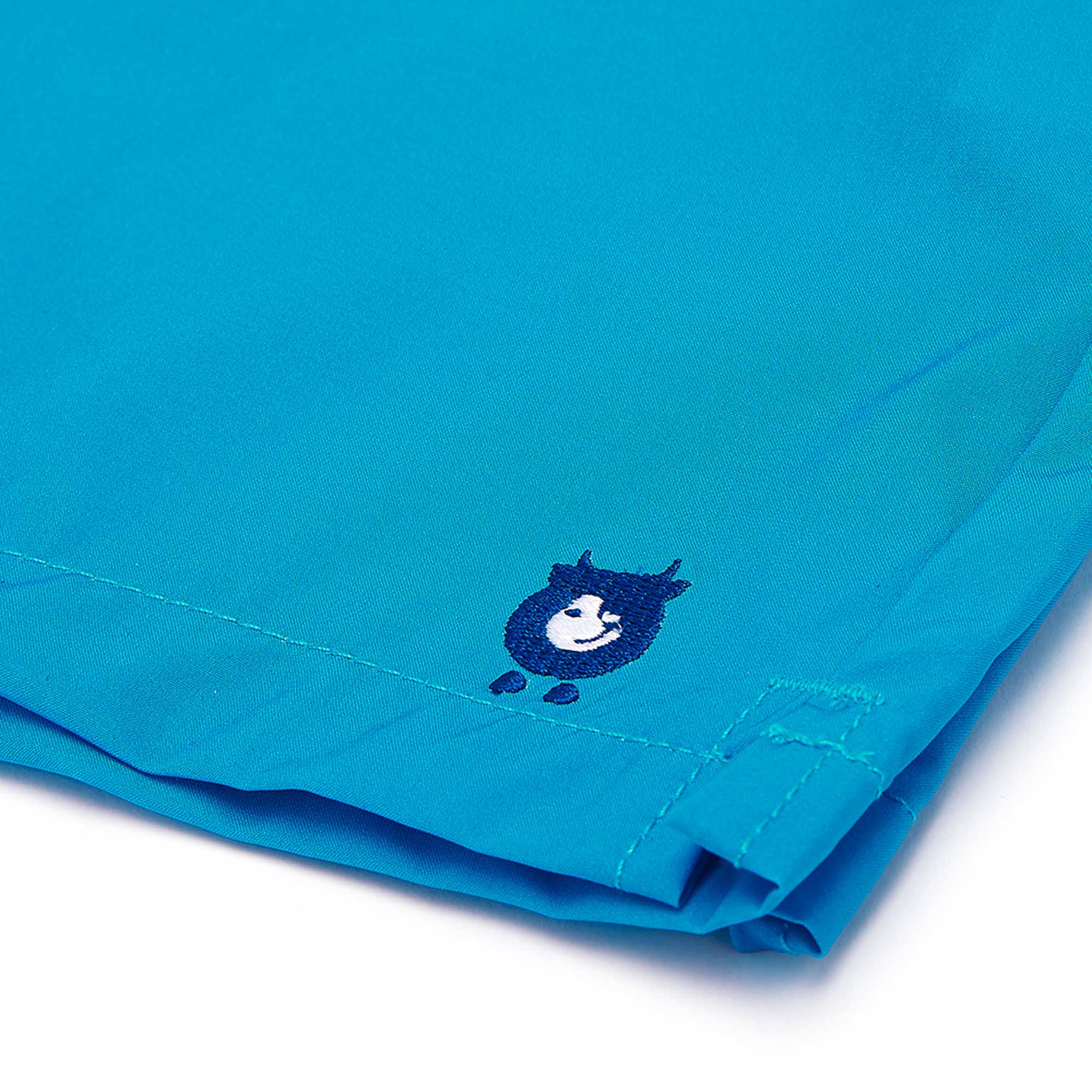 Aquamarine Blue Swim Shorts with Waterproof Pocket | Randy Cow
